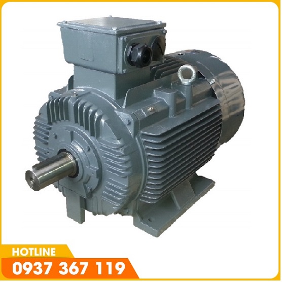 Motor TECO-IE1